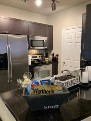 Lovely Spacious 2 BD w/ Pool and WiFi. Near Beaches, Downtown Tampa, And Shopping Mall!